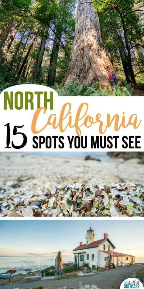 Must see list of things to do in northern California - travel tips for your itinerary of what to do including the redwoods! North California, Northern California Road Trip, Northern California Travel, California Attractions, California Bucket List, Travel California, The Redwoods, California Vacation, California Travel Road Trips