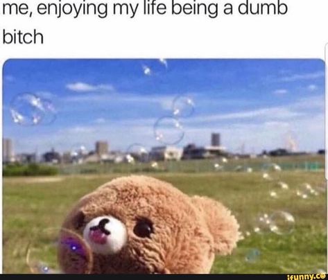 Found on iFunny Happy Memes, Single Memes, Memes Of The Day, Cute Memes, Reaction Memes, Made Me Laugh, Girl Shower, Reaction Pics, Popular Memes