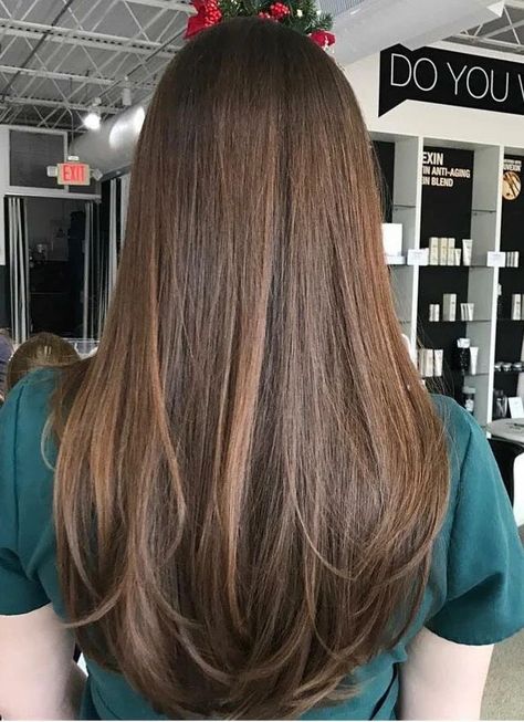 Subtle Layers With Curtain Bangs, Haircuts Layers Straight Hair, Noticeable Layers Hair, Long Layers Brunette Straight, Long Haircuts Without Layers, Long Layer Hair Cuts For Women, No Layered Haircut, Haircut For Long And Straight Hair, Long Straight Hair Long Layers