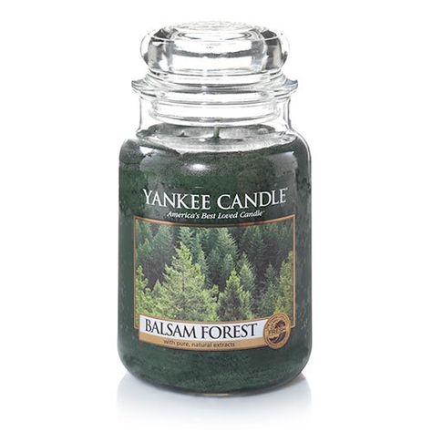 Yankee Candle Aesthetic, Forest Candles, Rich Room, Doll Printables, Forest Candle, Candles Yankee, Yankee Candle Scents, Candle Obsession, Yankee Candles