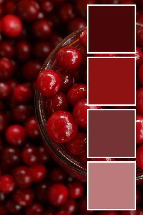 Cranberry Color Palette, Fruit Color Palette, 2022 Color Palette, Color Palette Logo, Deep Red Wedding, Palette Logo, Logo Color Palette, Fall Fruit, Wedding Colors Red