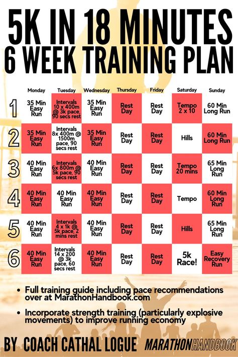 10km Training Plan, 5k Running Tips, 5k Running Plan, 10k Training, Running Training Plan, 5k Training Plan, Fitness Goal Setting, Run 5k, Training For A 10k