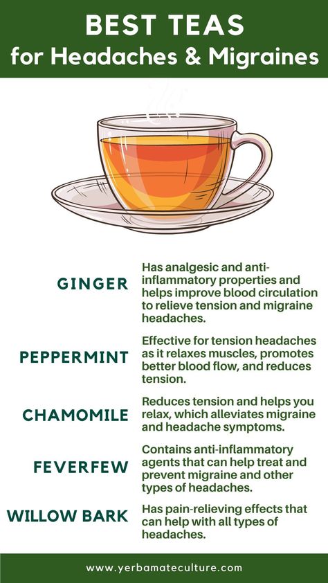 5 Best Teas for Headaches and Migraines - Try These Healing Herbs! Herbs For Headaches, Tea For Migraines, Healing Tea Recipes, Mosquito Repellent Plants, Teas For Headaches, Best Herbal Teas, Best Teas, Natural Remedies For Migraines, Repellent Plants