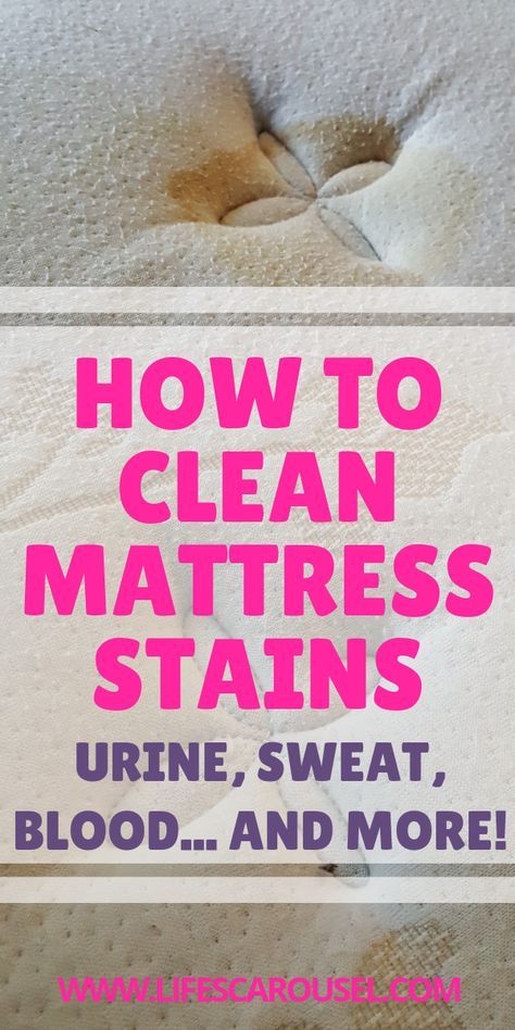 How To Clean Mattress, Clean Mattress Stains, Clean Mattress, Pee Stains, Mattress Stains, Homemade Toilet Cleaner, Cleaning Painted Walls, Glass Cooktop, Mattress Cleaning