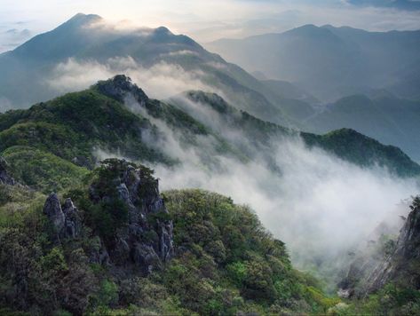 Korean Photography Nature, Korean Mountains, Korean Forest, Korea Mountain, Korean Scenery, Korean Nature, Scene Reference, Korean Photography, I Love Nature