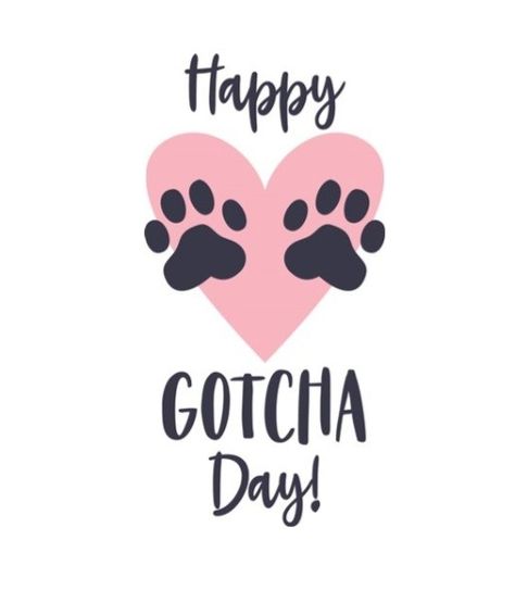 Happy Gotcha Day, Pet Birthday Quotes, Happy Gotcha Day Dogs, Gotcha Day Dog, Dog Adoption Quotes, Puppy Quotes, Friendship Memes, Adoption Quotes, Adoption Day