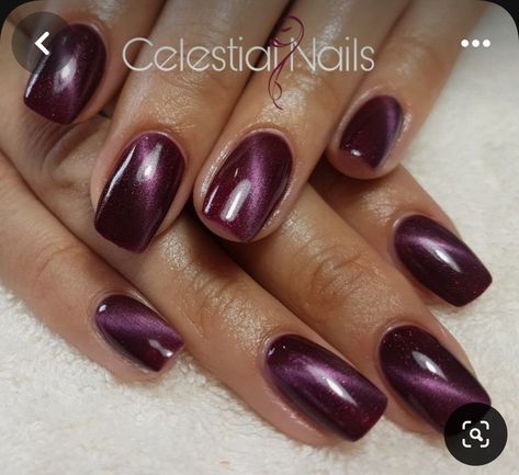 Short Square Acrylic Nails Maroon, Chrome Plum Nails, Wine Cat Eye Nails, Plum Cat Eye Nails, Purple Cats Eyes Nails, Cats Eye Nail Polish Gel, Magnetic Nail Polish Cat Eye, Square Cat Eye Nails, Eggplant Nails