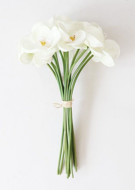 Phalaenopsis Orchid Bouquet, Bouquet Orchid, Tropical Bridal Bouquet, Diy Destination Wedding, Orchid Phalaenopsis, Small Wedding Bouquets, Wedding Flower Guide, Church Wedding Flowers, Fresh Wedding Flowers