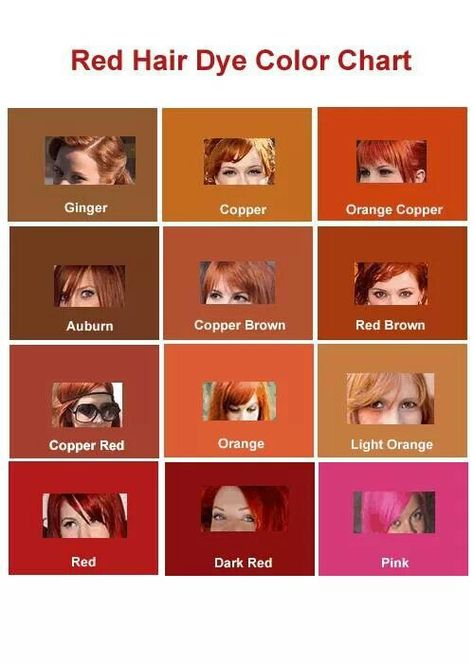 So here's the thing. I have "ginger" hair which my friends would always tease me about. So now I have proof that I'm not ginger. I'm copper brown/ copper red although I'll just stick to saying I'm a red head Red Orange Hair Color, Red Hair Dye Colors, Red Hair Color Chart, Hair Dye Color Chart, Hair Color Names, Orange Hair Color, Red Hair Dye, Red Orange Hair, Hair Color Orange