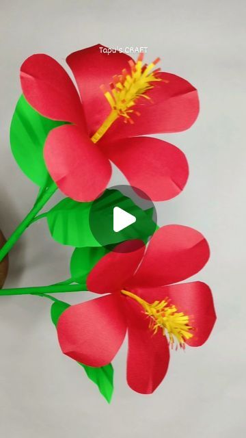 Tapu's CRAFT on Instagram: "Beautiful Paper  hibiscus flower 🌺
#paperflower #papercrafts #craftideas #easycrafts
#paperhibiscus

For detailed tutorial video please visit our YouTube channel
Link is in bio 💕" Diy Hibiscus Flower, Hibiscus Paper Flower, Beautiful Paper, Hibiscus Flower, Tutorial Video, Hibiscus Flowers, How To Make Paper, Flower Crafts, Flower Making