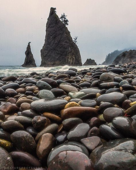 Rialto Beach Washington, Rialto Beach, Rock Beach, Photography Genres, Scene Image, Washington Usa, Close Up Portraits, Types Of Photography, Photo Story