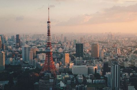 Tokyo Wallpaper, Tokyo City View, Tokyo City, Tokyo Tower, Japan Aesthetic, Motivation Board, Lost In Translation, The Tower, Free Travel