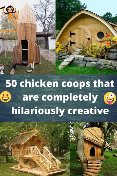 Raising Backyard Chickens, Homesteading Skills, Farm Stuff, Green Acres, Chicken Coops, Chicken Humor, Backyard Birds, Raising Chickens, Gardening For Kids