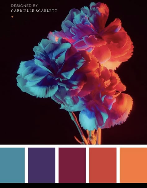 Stunning Color Palette, Mood Board Palette, Bold Moody Color Palette, Color Palette For Creativity, Vibrant Wedding Palette, Passionate Color Palette, High Contrast Palette, Bold Colors Aesthetic, Color Pallets Branding Colour Schemes