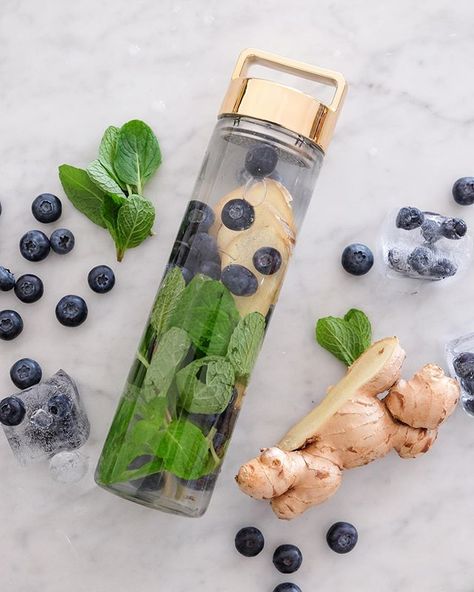 Glass Fruit-Infuser Water Bottles – Drop Bottle Ginger Detox Water, Fruit Infuser Water Bottle, Cucumber Detox Water, Infuser Water Bottle, Blueberry Mint, Homemade Detox Drinks, Kids Juice, Lemon Detox, Homemade Detox