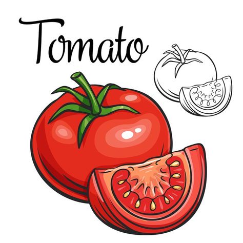 Tomato Vector, Tomato Drawing, Vegetable Drawing, Vegetable Cartoon, Recipe Drawing, Food Doodles, Pumpkin Vector, Fruits Drawing, Animal Crafts For Kids