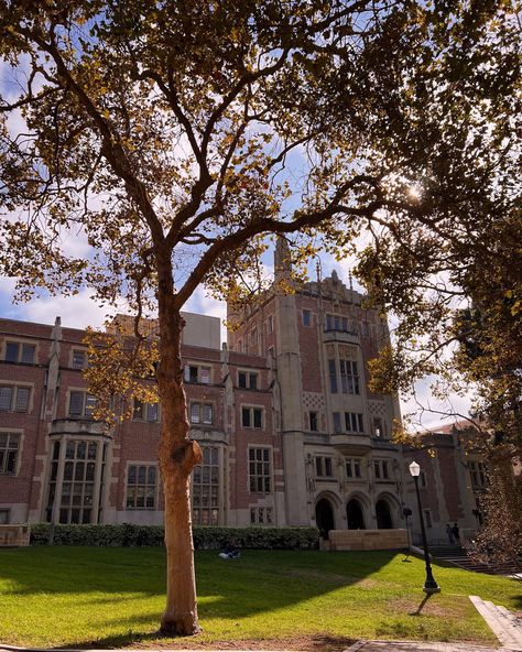 Ucla Campus, Reading Coffee, University Aesthetic, College Vision Board, City View Apartment, Elegant Wedding Inspiration, Graduation Picture Poses, Grad Photoshoot, College Board