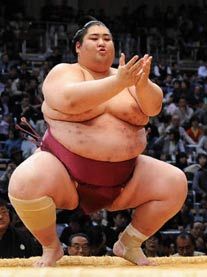 USA Sumo: Yama Fat Character, Bruce Lee Pictures, Gesture Drawing Poses, Genie In A Bottle, Sumo Wrestler, Funny Photoshop, Meet New People, Human Poses Reference, Figure Poses