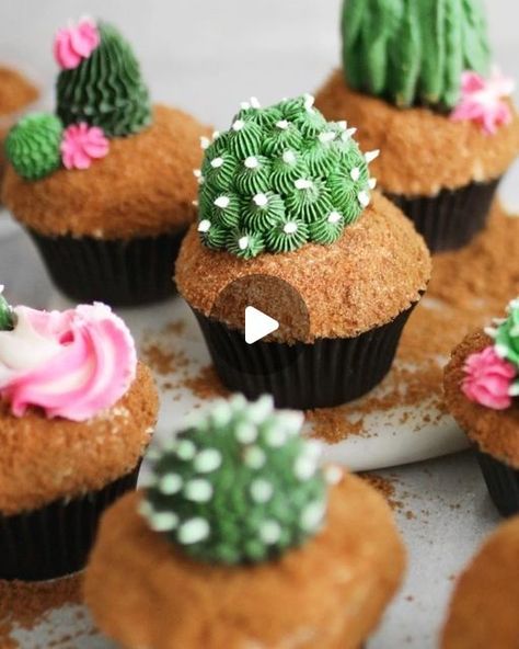 Cactus Cupcakes Easy, Plant Cupcakes, Cake Pop Balls, Cupcakes Succulents, Cactus Cakes, Cactus Cupcakes, Sand Cake, Succulent Cupcakes, Cupcake Videos