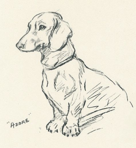 Dashund Dogs Drawing, Dachshund Drawings, Pencil Art Aesthetic, Dachshund Sketch, Dachshund Drawing, Dachshund Art, Quilled Creations, Dog Sketch, 강아지 그림