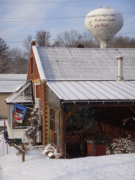 Pennsylvania Dutch Country, Kennett Square Pa, Incredible Nature, Pennsylvania Travel, Road Trip Map, York Pennsylvania, Big Cities, Beautiful Forest, New Town