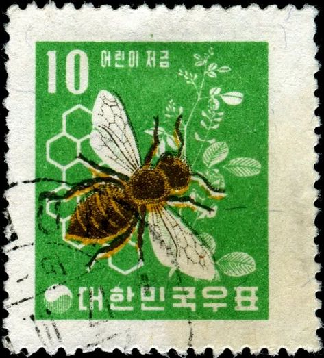 Honey bee stamp ~ Korea Bee Stamp, طوابع بريد, Postage Stamp Design, Korea South, I Love Bees, Chat Board, Bee Inspired, Bee Mine, Letter Stamps