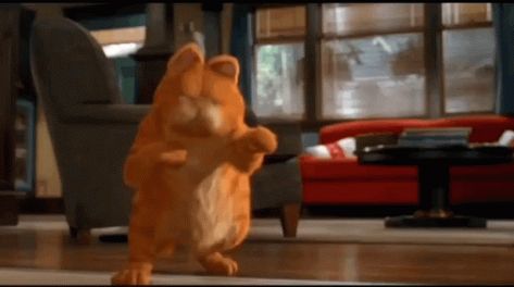 Garfield Dance GIF - Garfield Dance Dancing - Discover & Share GIFs Garfield Gif, Dancing Animated, Dance Gif, I Hate Mondays, Cant Touch This, Dancing Gif, Banner Gif, Animated Gif, Cool Gifs