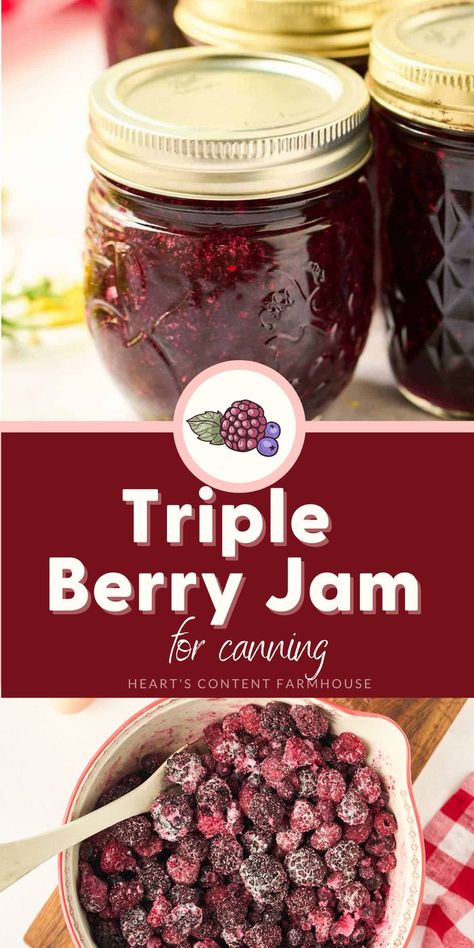 Canning is a great way to enjoy the fruits of summer all year long! This easy homemade triple berry jam recipe is perfect for beginner canners. Get ready to savor the sweet flavor of fresh blueberries, raspberries, and blackberries all winter long. Berry Jelly Recipe, Jam Recipes For Canning, Triple Berry Jam Recipe, Jam For Canning, Triple Berry Jam, Canning Fruit Recipes, Recipes For Canning, Berry Jam Recipe, Fruit Jam Recipes