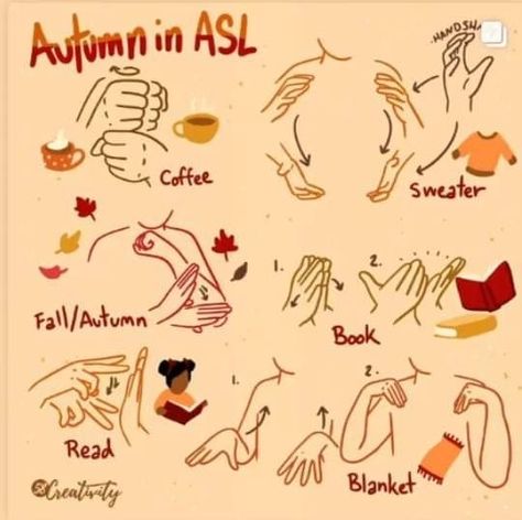 English Sign Language, Light Orange Background, Asl Words, Asl Lessons, Learning Asl, Simple Sign Language, Asl Sign Language Words, Sign Language Art, Sign Language Chart