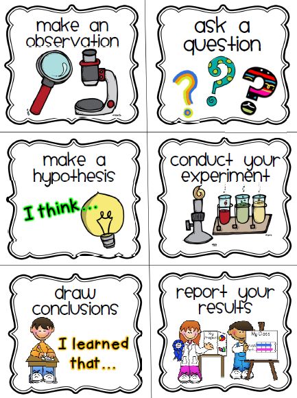 scientific process for kids | Classroom Freebies: Scientific Method Cards Scientific Method For Kids, Scientific Method Steps, Scientific Method Posters, Scientific Method Worksheet, Kid Science, 1st Grade Science, First Grade Science, Primary Science, Classroom Freebies