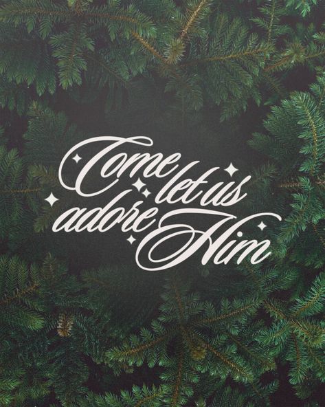 Media Ministry, Come Let Us Adore Him, Pine Branches, King Of Kings, Presentation Design, Christmas Colors, Design Inspo, Presentation, Graphic Design