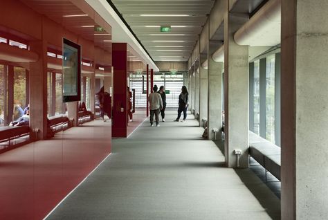 Corridor at Building 303 by Architectus © Simon Devitt - Inspiration for University Campus in Middle East by SI Architects University Corridor, Auckland New Zealand, University Campus, School Architecture, Auckland, Work Space, New Zealand, Stairs, University