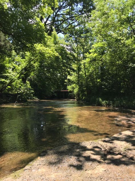 Summer In The Woods Aesthetic, Tennessee Summer Aesthetic, Southern Astethic, Nature Summer Aesthetic, Southern Summer Aesthetic, Summer Country Aesthetic, Appalachian Aesthetic, Country Side Summer, Country Summer Aesthetic