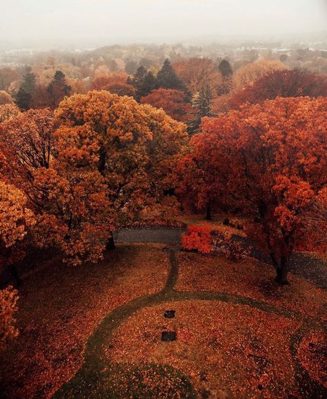 Concord Massachusetts Fall, Chestnut Hill Massachusetts, Massachusetts Aesthetic Fall, Cambridge Massachusetts Aesthetic, Massachusetts Cambridge, Danvers Massachusetts, Williamstown Massachusetts, Medford Massachusetts, Sturbridge Massachusetts