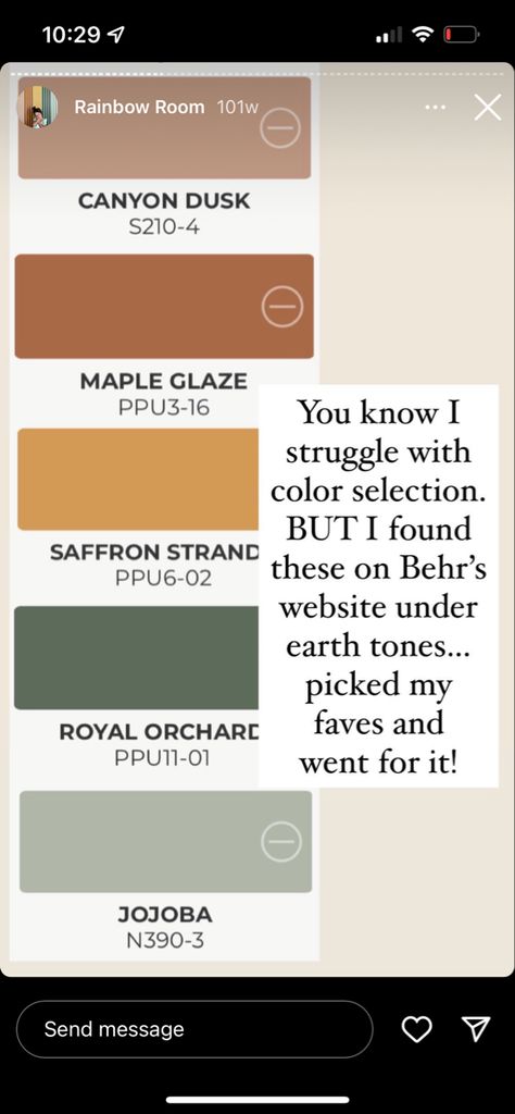 Terracota And Green Color Palette, Behr Paint Colors Boho, Sage Green Complimentary Colors Bedroom, Green And Terra Cotta Bedroom, Kitchen With Mustard Accents, Behr Colour Palettes, Sage Green Accent Colors, Terracotta And Green Interior, Terracotta Color Pallete