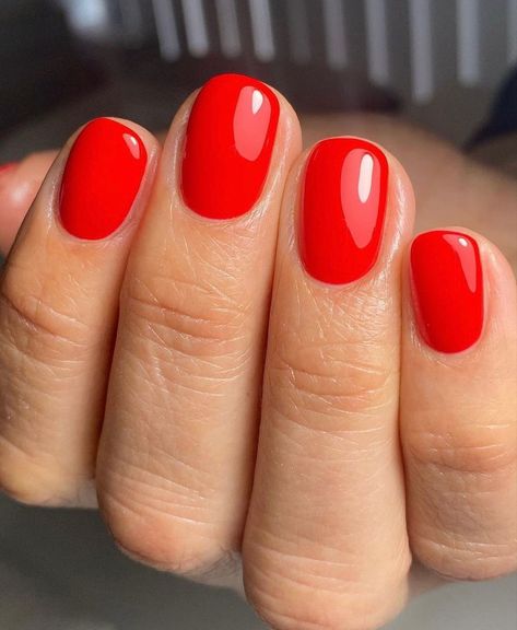 Long Wear Nail Polish, Natural Nails Manicure, Red Gel Nails, Bright Red Nails, Colorful Nails, Red Nail Polish, Red Nail, Shellac Nails, Neutral Nails