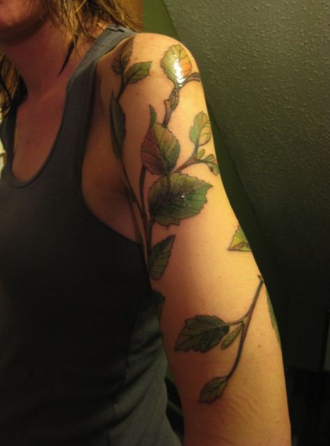 https://flic.kr/p/8ztQRc+|+My+new+tattoo+|+Birch+tree+branches+ Birch Tree Branches, Birch Tree Tattoos, Herb Tattoo, Fall Leaves Tattoo, Tree Branch Tattoo, Tree Tattoo Arm, Best Cover Up Tattoos, L Tattoo, Branch Tattoo