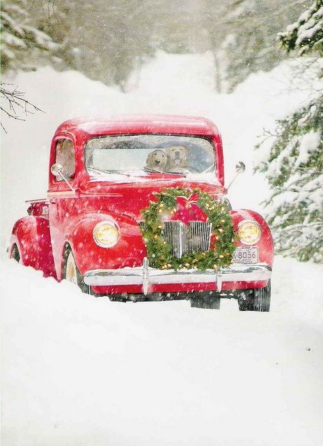 Christmas Picture of the Day  I love the two dogs driving but is that a horse on the passenger side Old Red Truck, Red Truck, The Snow, The Back, Wreath, Trees, Road, Christmas, Red