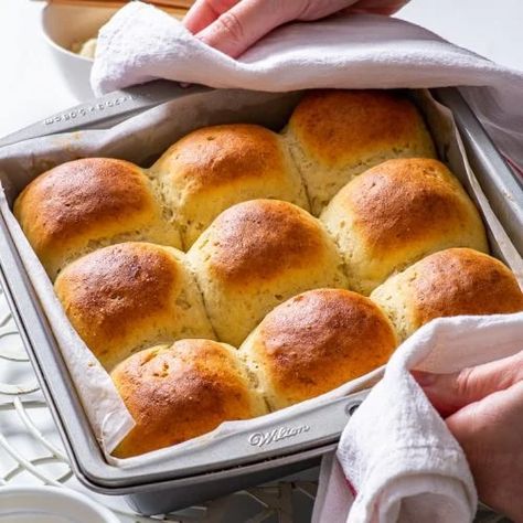 The Softest Gluten Free Dinner Rolls - The Loopy Whisk Bread Machine Gluten Free, Gluten Free Dinner Rolls Recipe, Holiday Rolls, The Loopy Whisk, Loopy Whisk, Gluten Free Dinner Rolls, Gluten Free Bread Machine, Gluten Free Rolls, Digital Food Scale