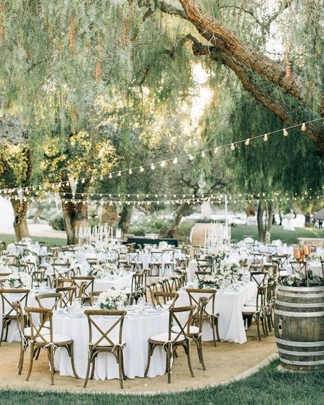 Gorgeous garden wedding with dreamy fairy lights ✨ Vineyard Wedding, Wedding Cake Designs, Rustic Outside Wedding, Outdoor Wedding Reception, Tables And Chairs, Outside Wedding, Wedding Lights, Wedding Themes, Reception Decorations