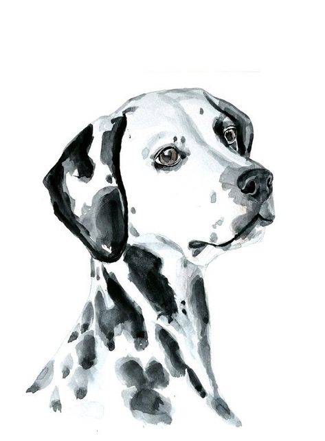 Dog Watercolor Painting, Portraits Pop Art, Dog Portraits Art, Dalmatian Dog, 강아지 그림, Dog Artwork, Black And White Dog, Custom Dog Portraits, White Dog