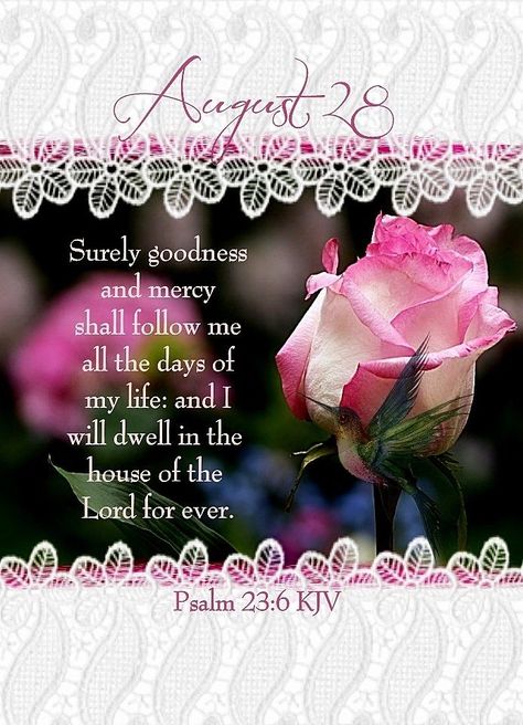 July Blessings Quotes, Goodness And Mercy, August Images, Psalm 23 6, August Quotes, House Of The Lord, Surely Goodness And Mercy, Weekday Quotes, Good Morning God Quotes