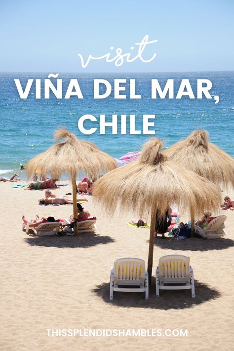 Vina Del Mar Chile, Chilean Food, Auckland Airport, Chilean Recipes, Vina Del Mar, Chile Travel, Coastal Town, Santiago Chile, Beautiful Park