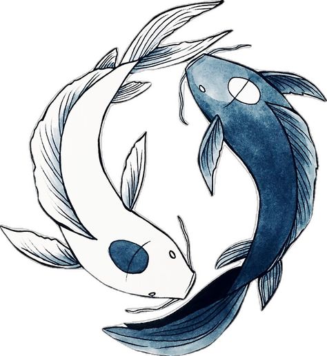 "Tui and La - Yin & Yang Koi" Sticker by nicoledesigns | Redbubble Avatar Yin Yang Fish, Yin Yang Avatar, Avatar Tui And La, Koi Sticker, Koi Yin Yang, Koi Fish Yin Yang, Tui And La, Yin Yang Dragon, Yin Yang Fish