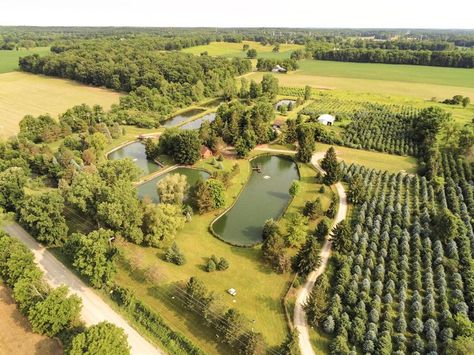 Integrated Fish And Poultry Farming, Trout Pond, Heber Utah, Tilapia Fish Farming, Aquaculture Fish Farming, Irrigation Methods, Trout Farm, Fish Farm, Trout Population