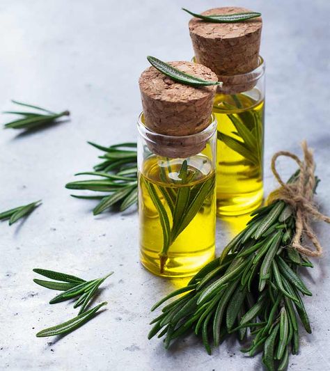 Hair Growth Methods, Tattoo Plant, Rosemary Oil For Hair, Essential Oil Benefits, Rosemary Mint, Rosemary Oil, Oil Benefits, Essential Oils Rosemary, Oil Uses