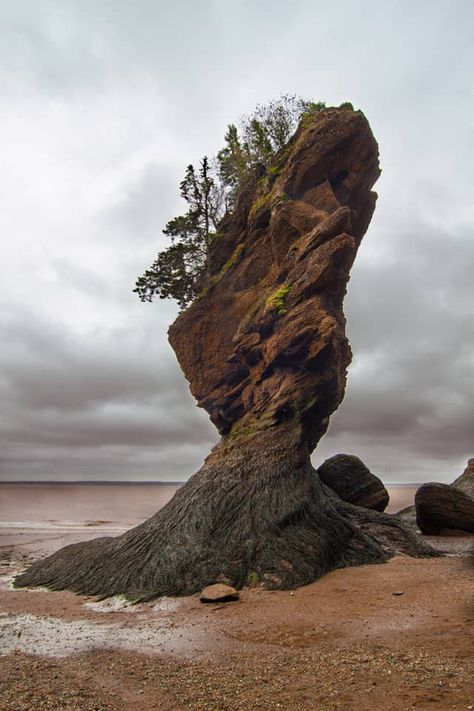 Russia Landscape, Hopewell Rocks, Bay Of Fundy, New Brunswick Canada, Rock On, New Brunswick, Rock Formations, Jolie Photo, Canada Travel