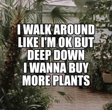 Garden Sayings, Plant Jokes, Gardening Memes, Plant Quotes, 2024 Quotes, Gardening Humor, Garden Works, Plants Quotes, Garden Quotes