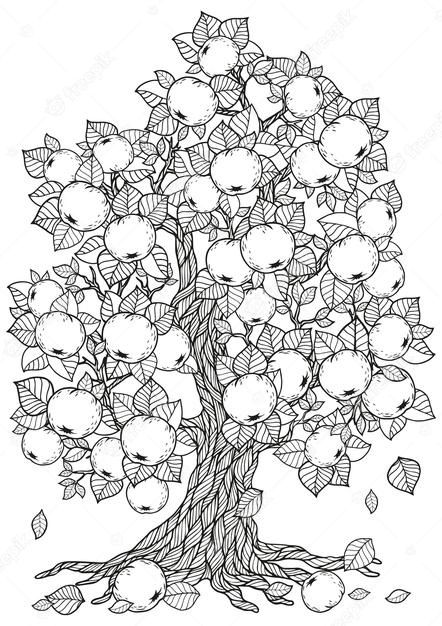 Apple Tree Drawing, Drawing Coloring Pages, Vector Doodle, Book Tree, Zen Doodle Art, Tree Coloring Page, Adult Colouring Pages, Blossom Tree, Tree Drawing