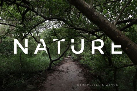 Typography with combination of beautiful nature view Adventure Typography Design, Sustainable Typography, Nature Typography Design, Garden Glamping, Natural Typography, Graphic Design Nature, Nature Typography, Typography Ads, International Typographic Style